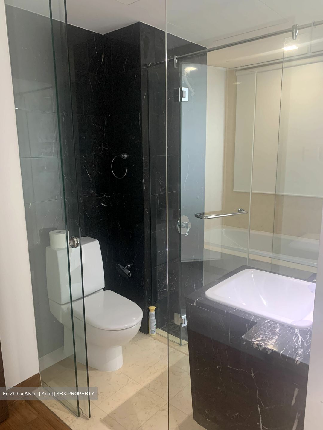 Residences @ Evelyn (D11), Condominium #491696111